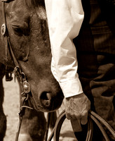 Horse & Cowboy