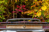 Fall Buick, 1964 Skylark