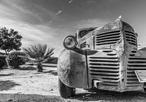 Desert Dodge